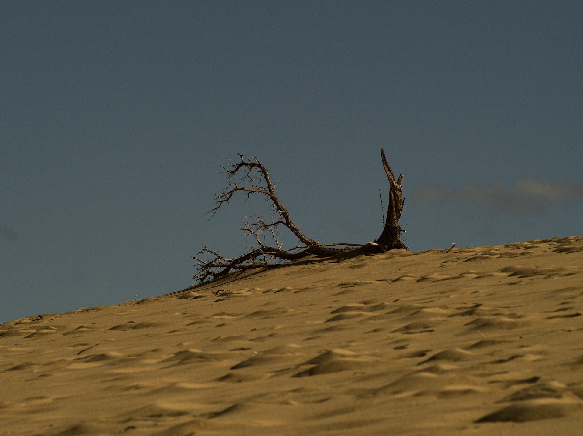 Lungo il cammino delle 100 torri da Oristano alle dune di Piscinas immagine
