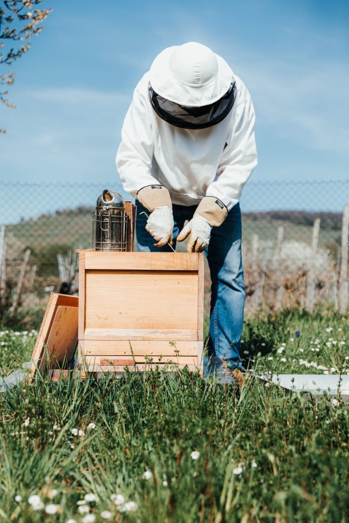 I segreti dell'apicoltura