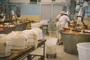 Tour nei laboratori dei produzione di formaggi