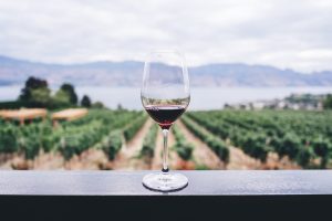 Degustazione vinicola